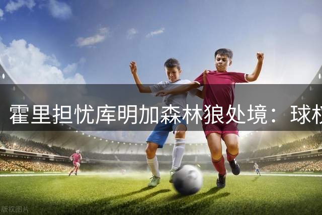 霍里担忧库明加森林狼处境：球权分配恐致失意重演